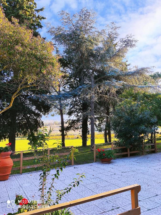 Agriturismo Pian Dell'Osa Villa Montiano  Exterior photo